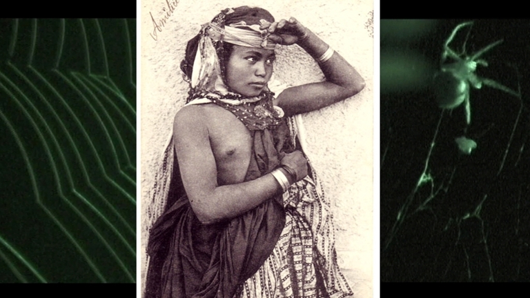 old black and white image of someone in traditional dress overlaid over an image of a spiderweb  and spider 