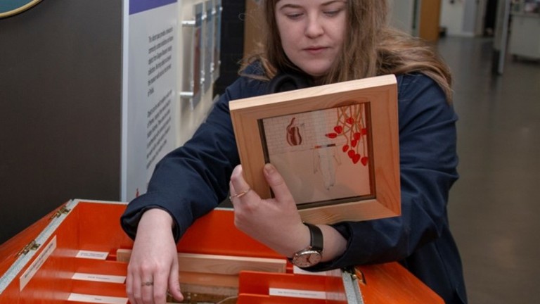 A woman looking through a box of artwork