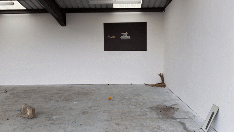 a rock, orange, puddle of pink stained water, mirror and palm leaves are placed across a gallery floor. On a wall a dark print is pasted up.