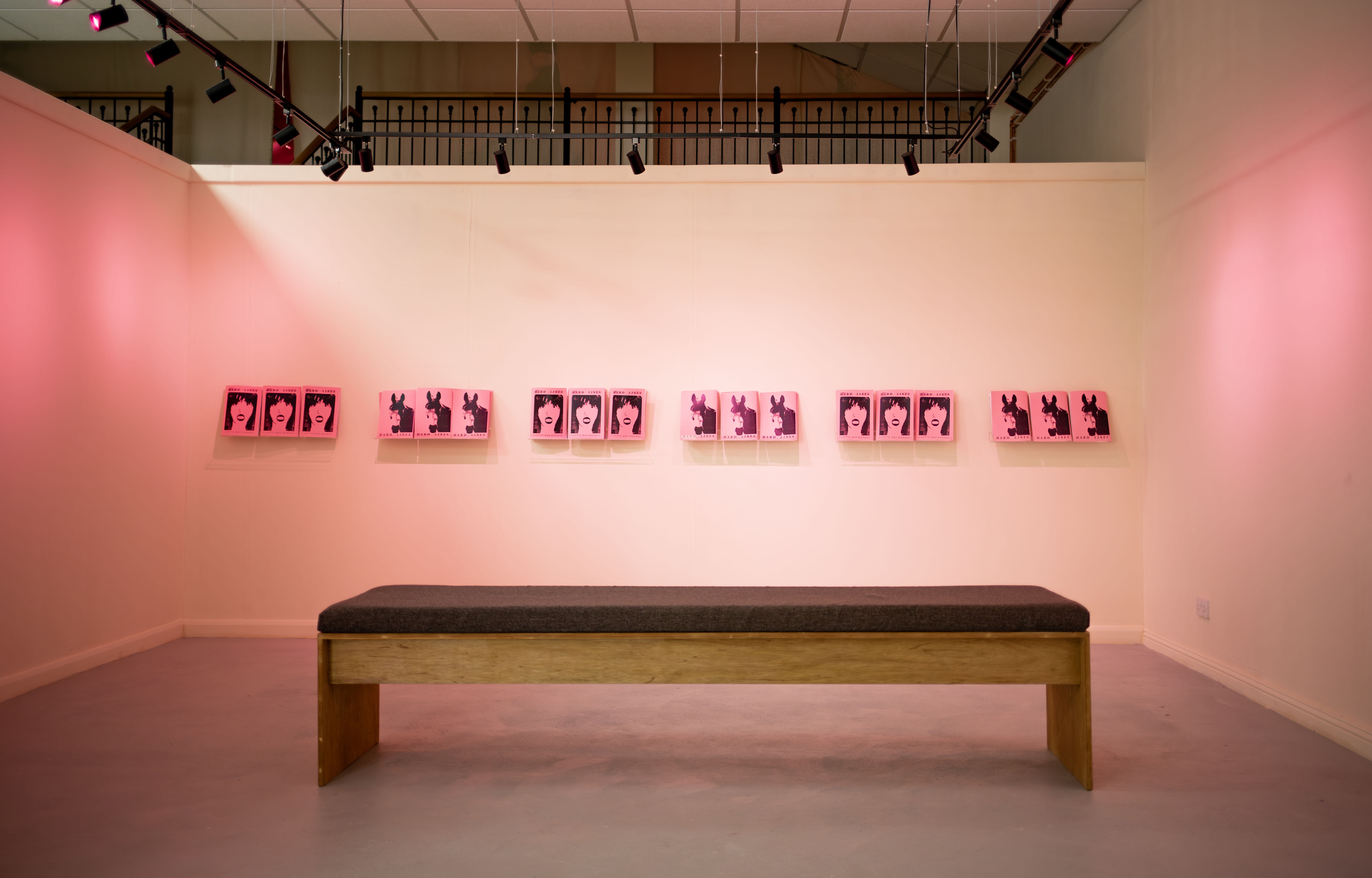 A row of pink and black zines titled "Hard Lines" mounted in groups of three along a pink-lit gallery wall, above a wooden bench, with a mezzanine railing visible above.