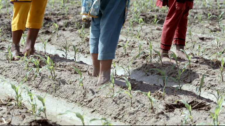 Film still showing three different individuals with their feed in the soil. The soil has small seedlings sprouting. The individuals wear the colours blue, red, and yellow. 