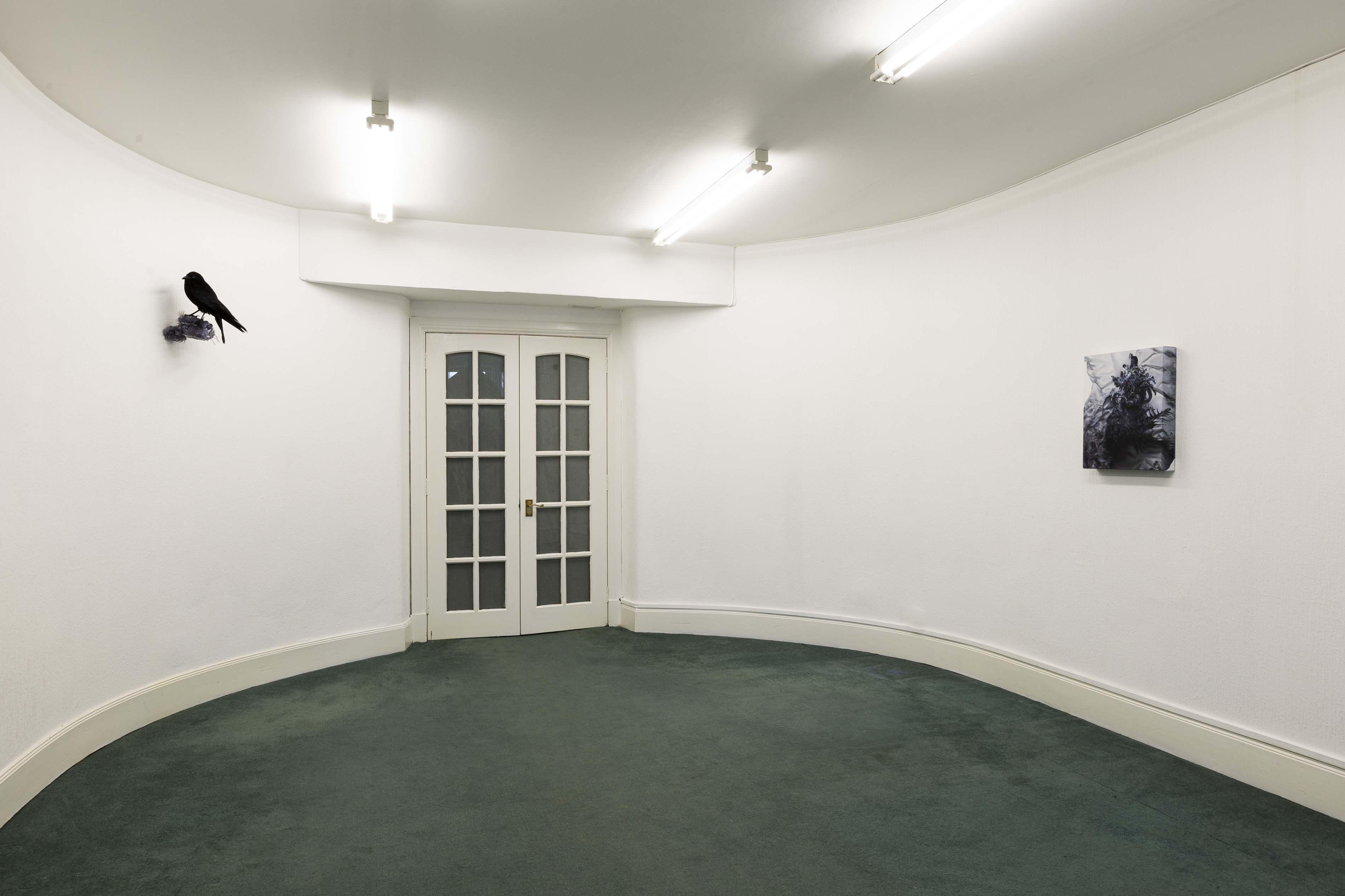 Installation view of a curved gallery corner with green carpet. On the left wall, a small taxidermy-style black bird sculpture perches on a dark tufted form. On the right wall, a small framed panel shows an abstract black and white image with organic, branch-like forms.