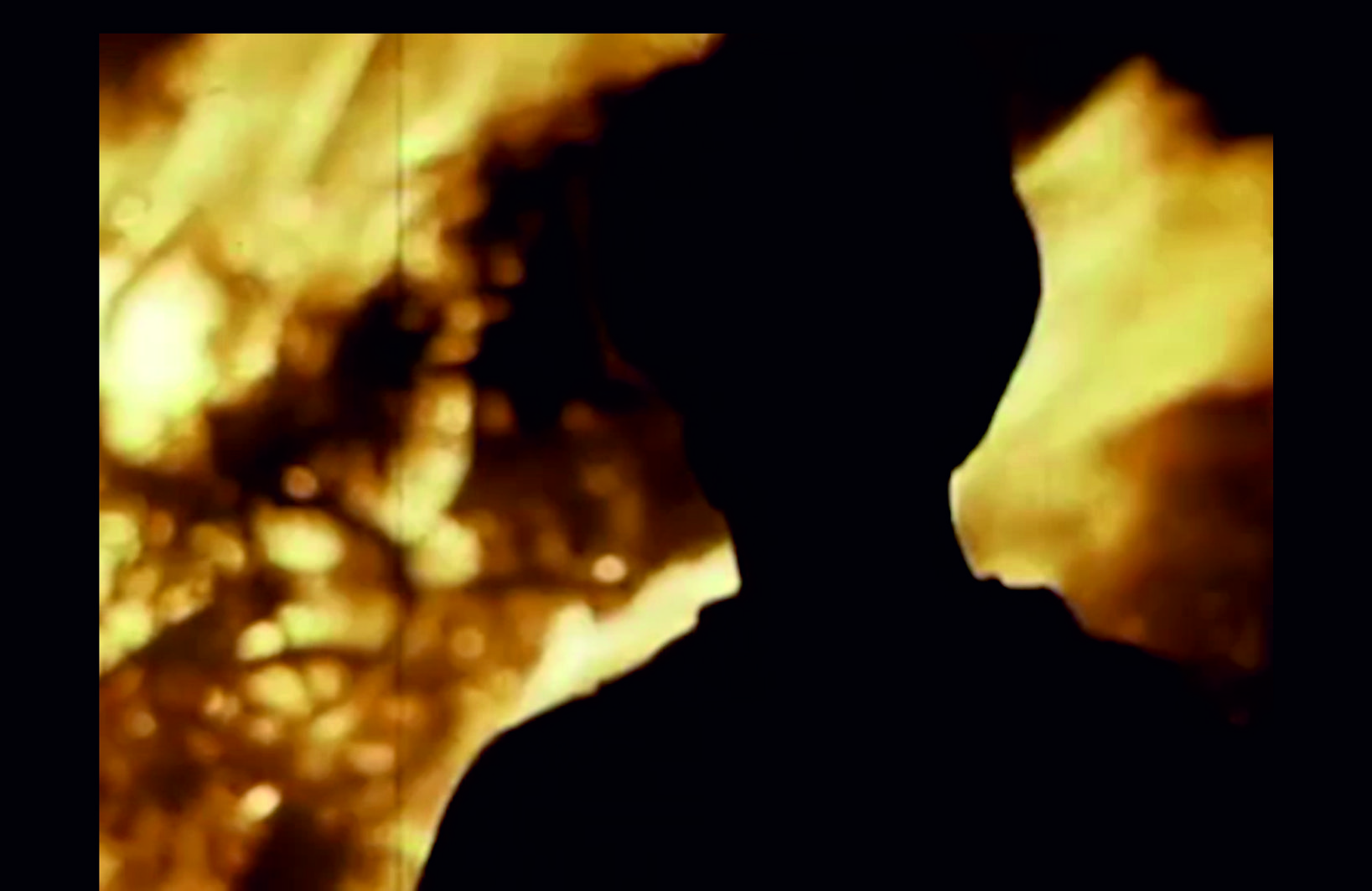 Film still showing a dark, human-like figure in the foreground. Behind it is a brown-yellow timage with blurred, branch-like textures.