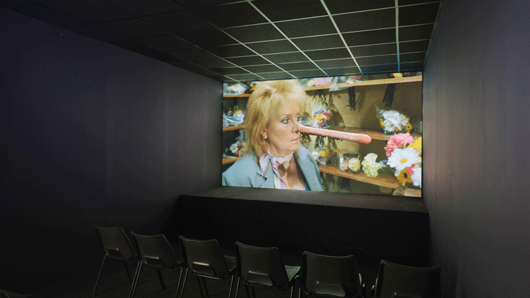 Photograph of a video installation with chairs in the foreground, and a screen in the background. An image of a person with a very long nose and wearing a blue jacket is visible on the screen. 