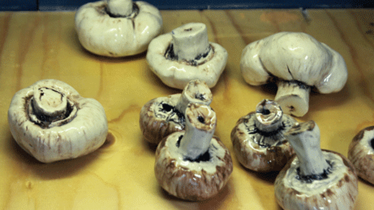 Photo of ceramic mushrooms on a wooden table 