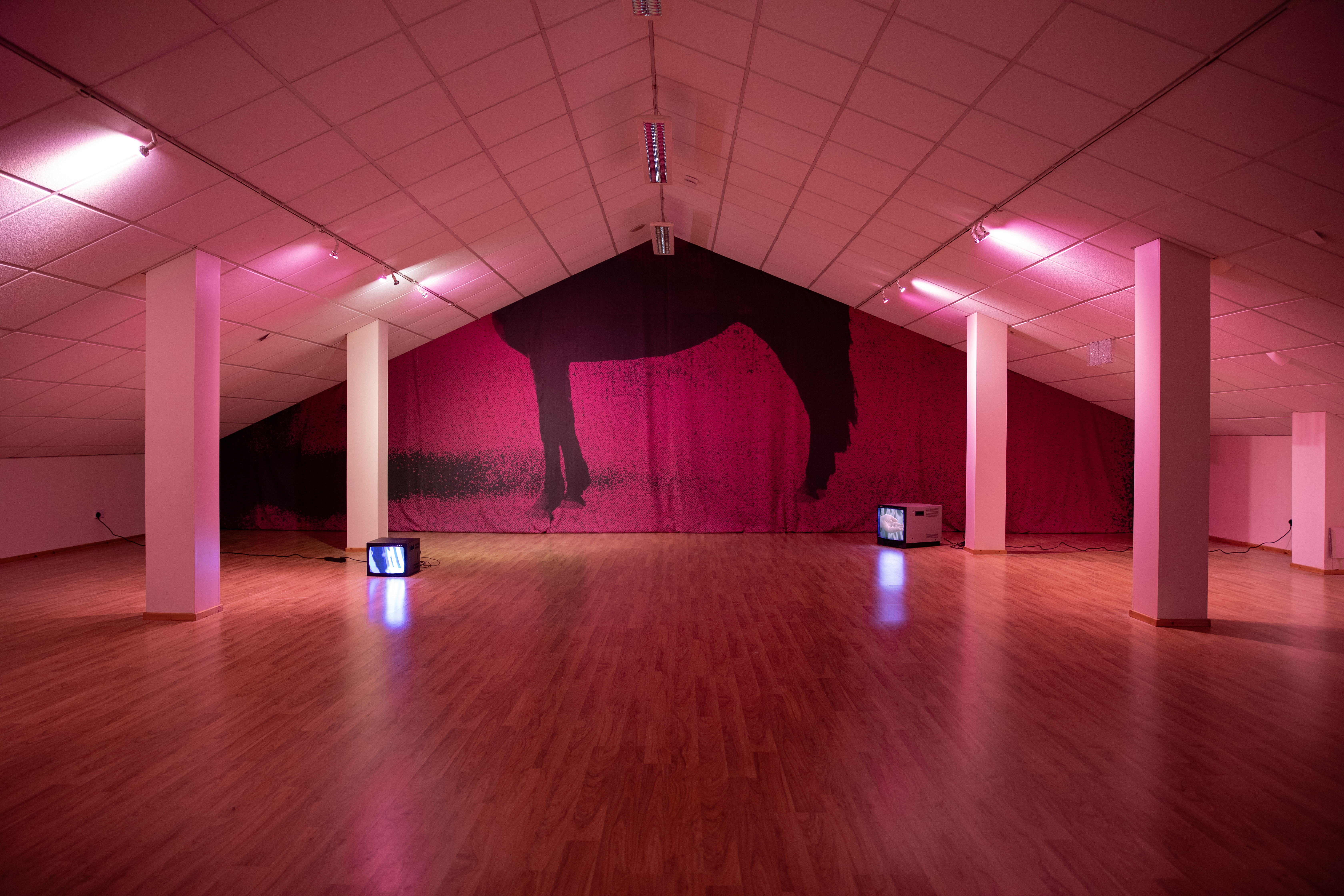 In a pink-lit attic gallery space at Gulabi Gallery, a large printed hanging shows the lower half of a horse's leg, with two small CRT monitors playing video resting on the floor nearby.