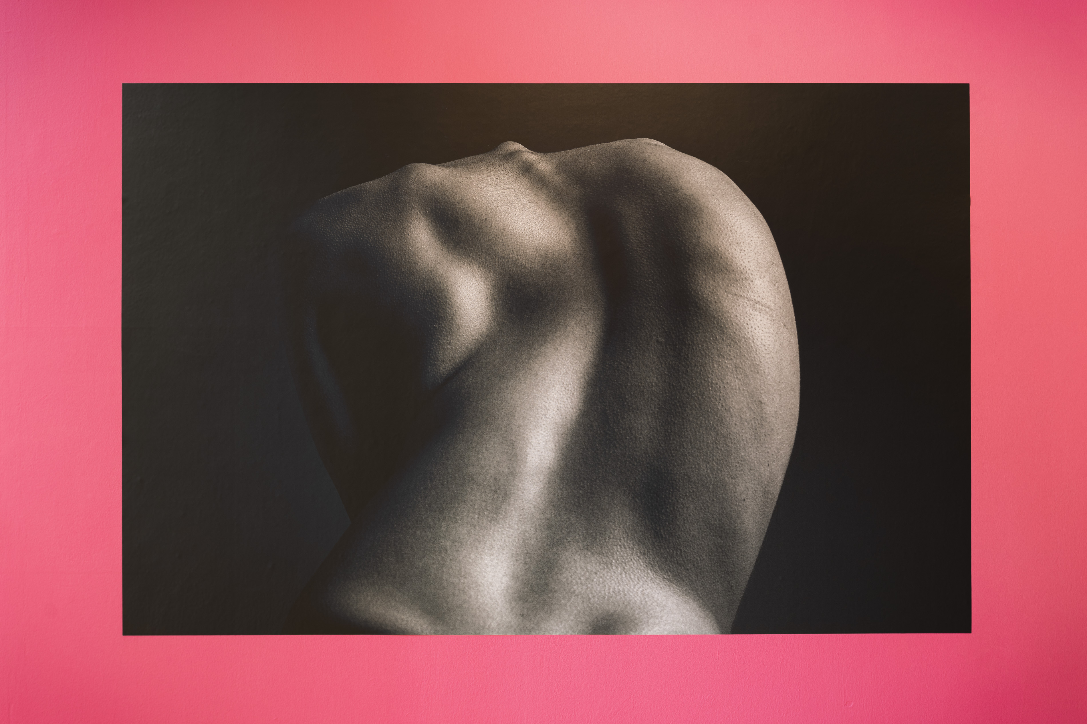 A black and white photograph on a pink wall, a close-up of a bare shoulder and upper back showing the curve of the spine, part of Ayesha Jones' exhibition.  Let me know if you'd like the exhibition title added once you have it to hand.