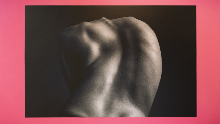 A black and white photograph on a pink wall, a close-up of a bare shoulder and upper back showing the curve of the spine, part of Ayesha Jones' exhibition.  Let me know if you'd like the exhibition title added once you have it to hand.