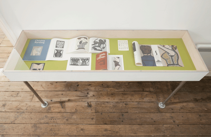 A vitrine with printed leaflets displayed