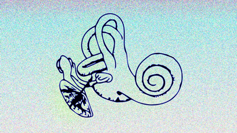 black line drawing of a cochlea, with pink and blue gradient background