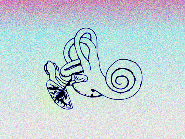 black line drawing of a cochlea, with pink and blue gradient background