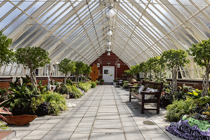 An interior view of a glasshouse room with plants lining the walls on either side