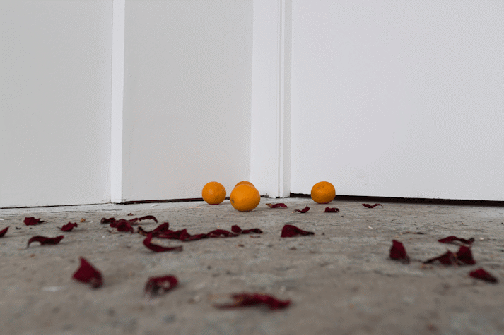 oranges and dried hibiscus petals are strewn across a gallery floor