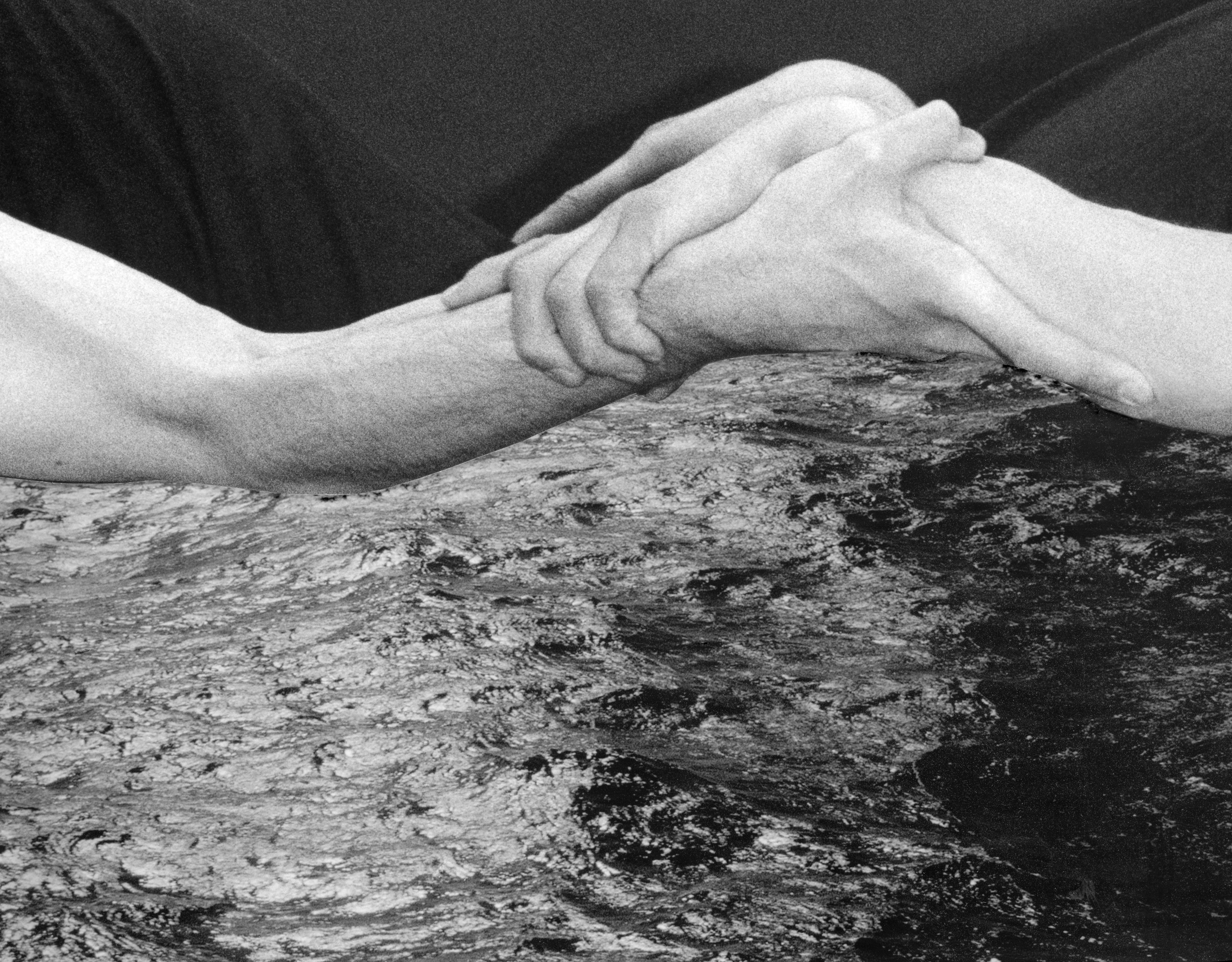 Joanna Piotrowska, Untitled, 2026, Collage, Dimensions Variable