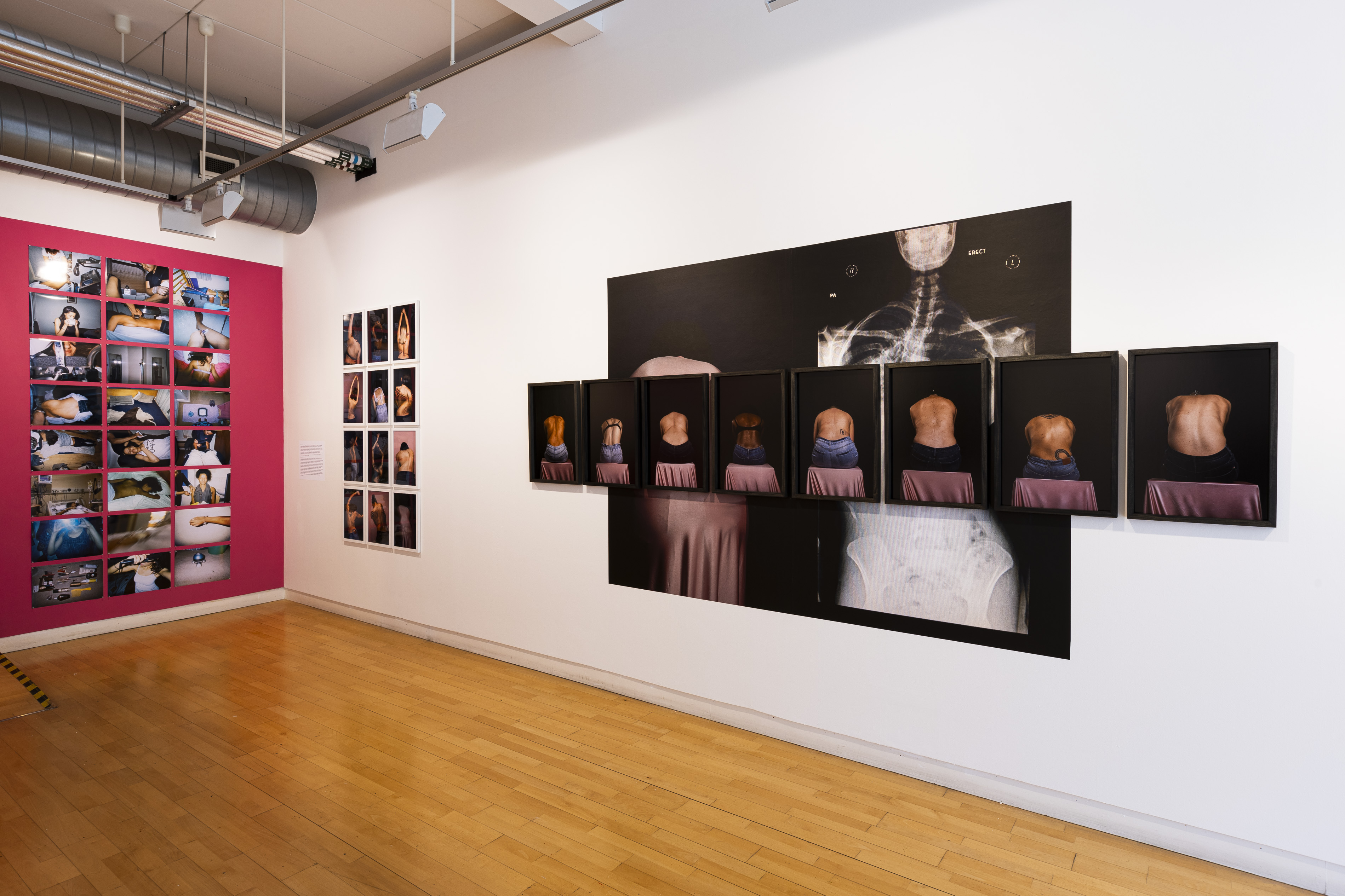 A gallery space with a grid of colour photographs on a magenta wall, a row of small framed back portraits, and a large-scale composite work combining spinal X-rays with sequential photographs of bare backs seated on a draped table, part of Ayesha Jones' exhibition.