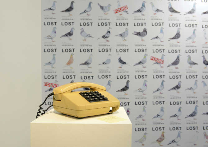 Phone on plinth with posters behind, indicating lost pigeons