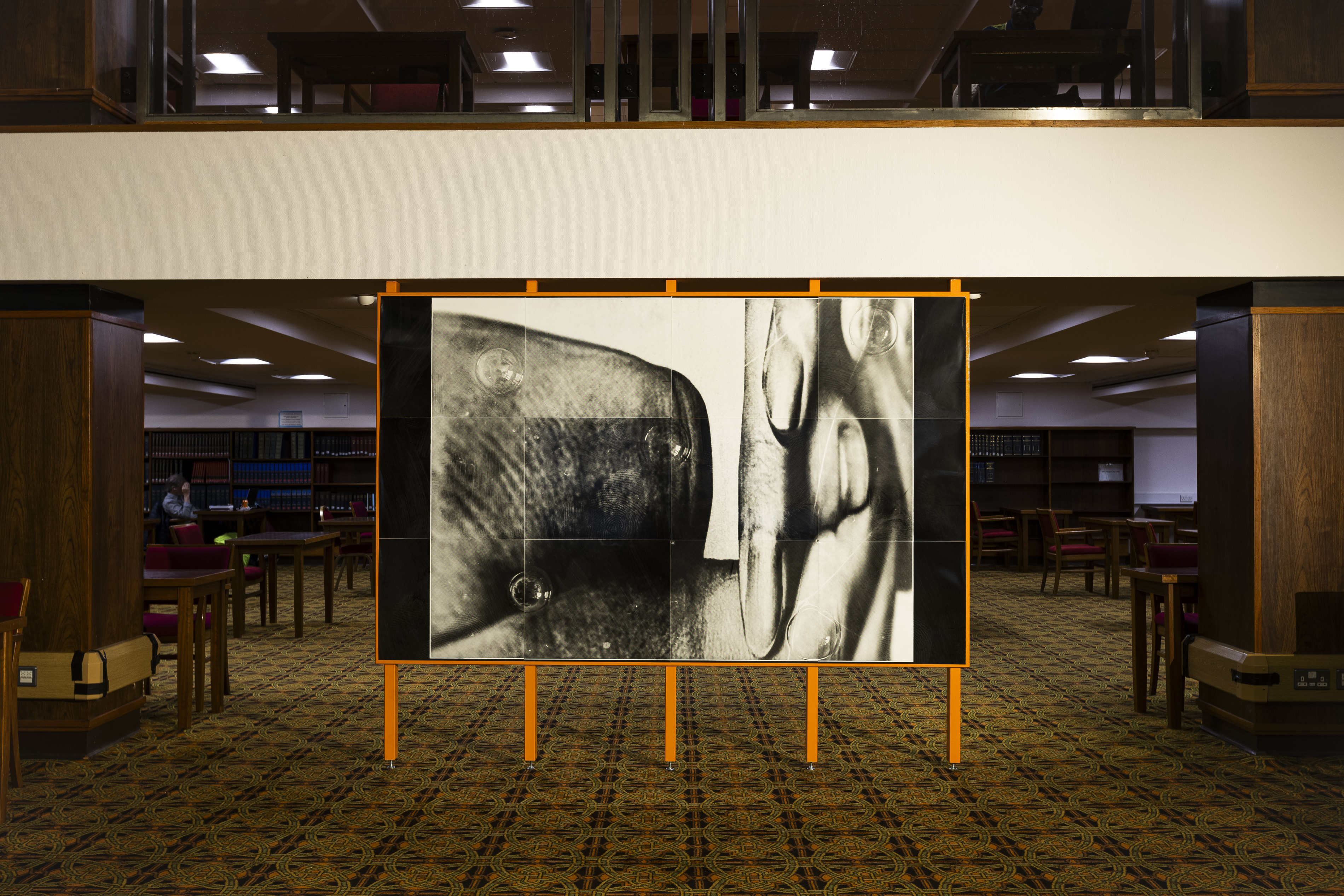 Mitchell - Alice Brooke - GI2620.jpg