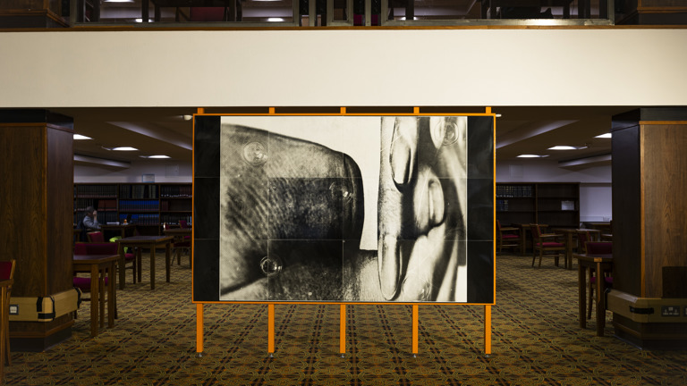 Orange-framed billboard sculpture standing on stilt legs in the Mitchell Library reading room, displaying a black-and-white photographic collage of a hand's fingers beside an eel-like form, with bubbles scattered across the tiled panels. Library shelves and red-upholstered chairs are visible in the background.