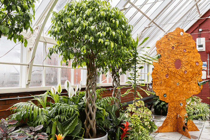 An interior glasshouse room filled with a variety of plants and trees, with a large orange wooden tree shaped sculpture on the right hand side.