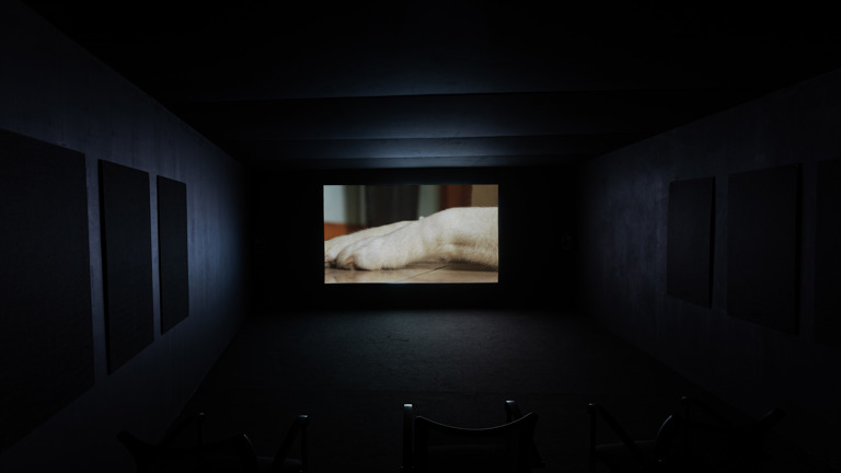A darkened cinema-style room at the Briggait with rows of chairs facing a screen showing a close-up of a dog's paw resting on a wooden floor, part of Renée Helena Browne's video installation.