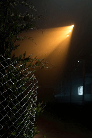 Three beams of light are shining onto the left side, where there are plants, covered by a wire fence. The room is dark and at the back there is an image being projected on the wall on the right side.