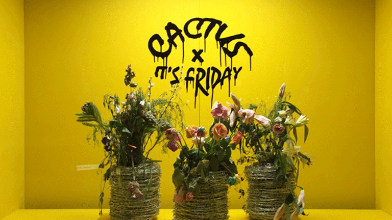 A photograph of a yellow interior with three plant pots with plants in. Above the plants, the words 'Cactus it's Friday' are written in black paint that has run down the wall 