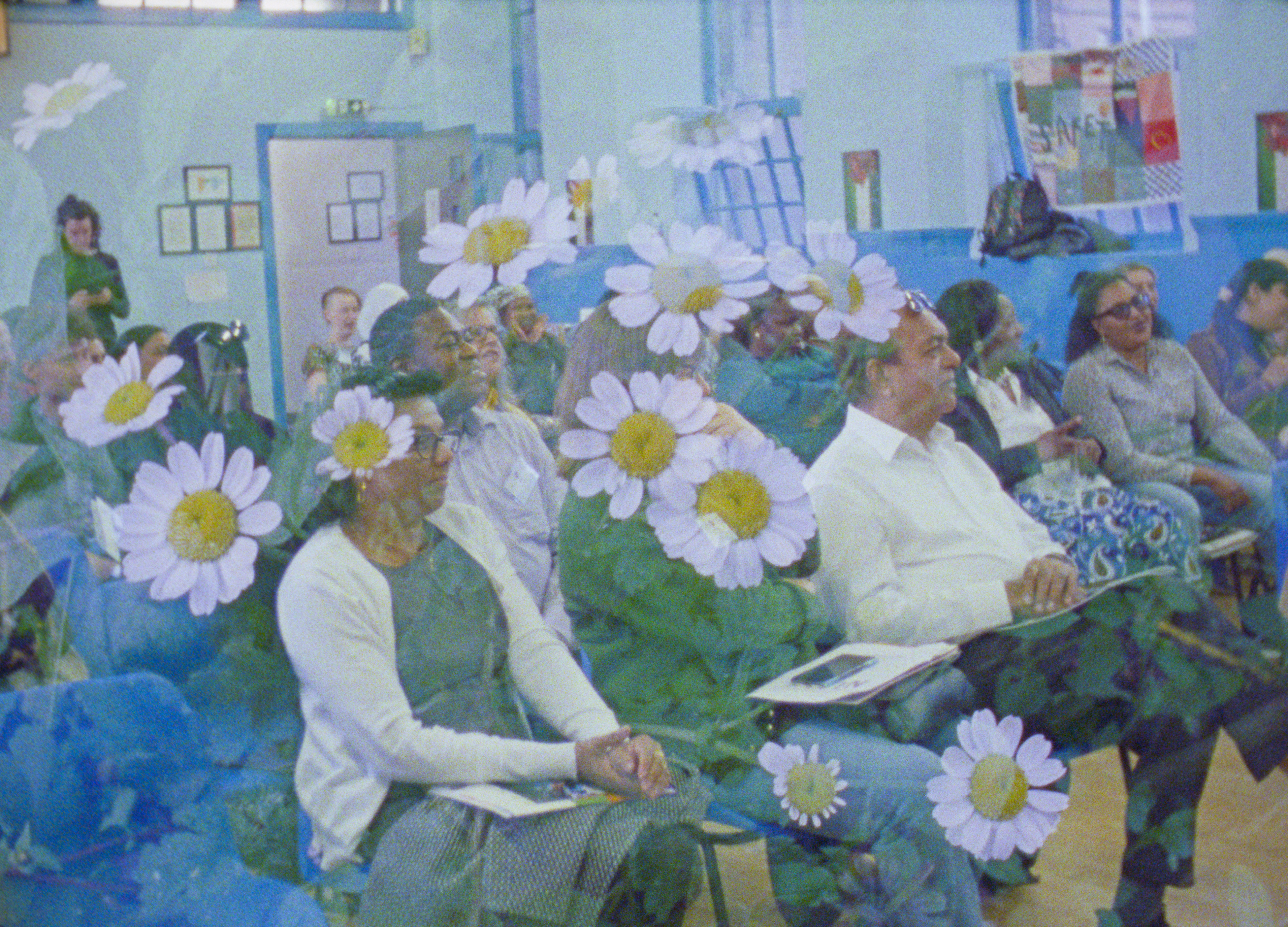 16MM Film still showing people seated in rows in a community centre hall with blue walls, brochures on their laps. The image is double-exposed with scattered dasies and foliage. 