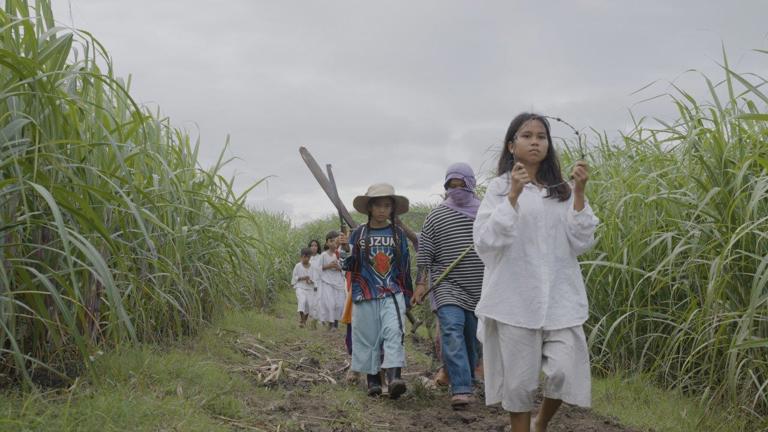 A group of children walk through a sugar plantation field. Each carries a different item. The lead child carries a ring of barbed wire.  Another child carries a machete for cutting sugar.