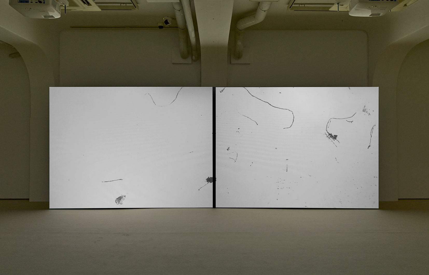 Adam Lewis Jacob, Snow, 2025, courtesy of the artist.