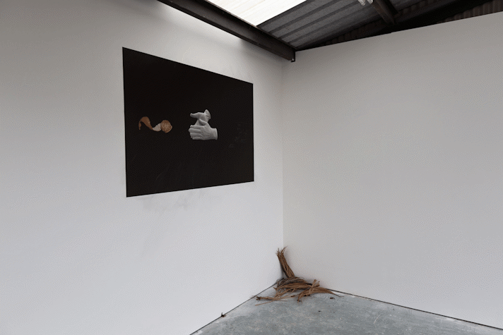 dried palm leaves are placed in the corner of a gallery space. A dark print with black background, white gloved hands and an orange peel, is pasted on the wall