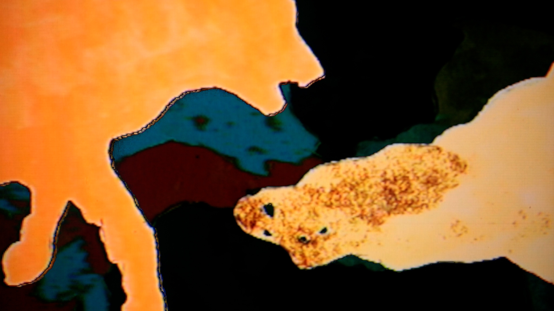  Two neon orange wolf-like shapes blur and pixelate, their blue and deep red after-images behind them fading into black background.