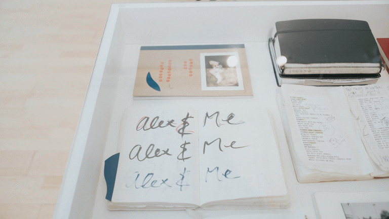 Close up photograph of material in a vitrine showing notebooks and hand-written notes 