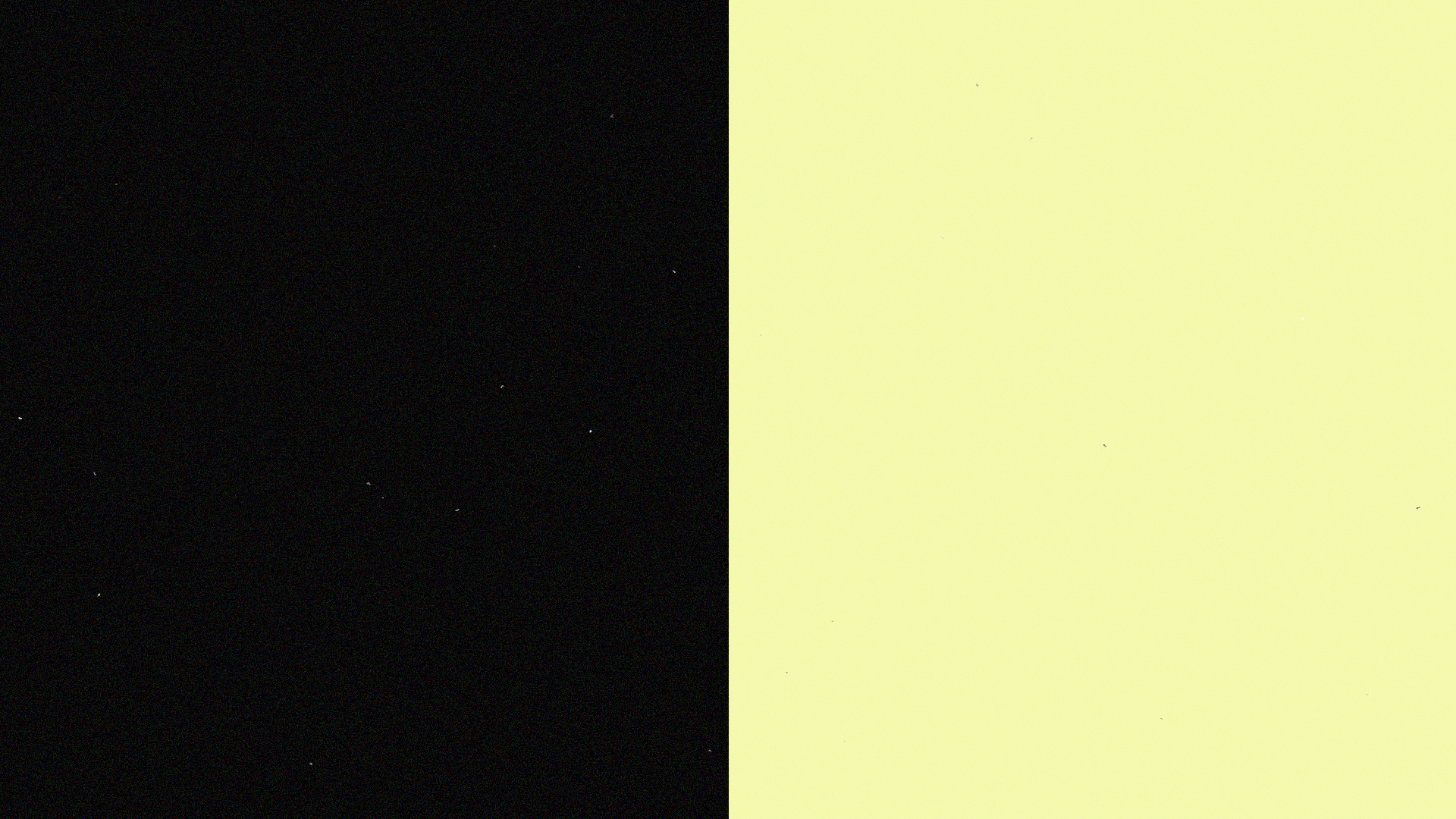 Irineu 2026 Flow Black Yellow