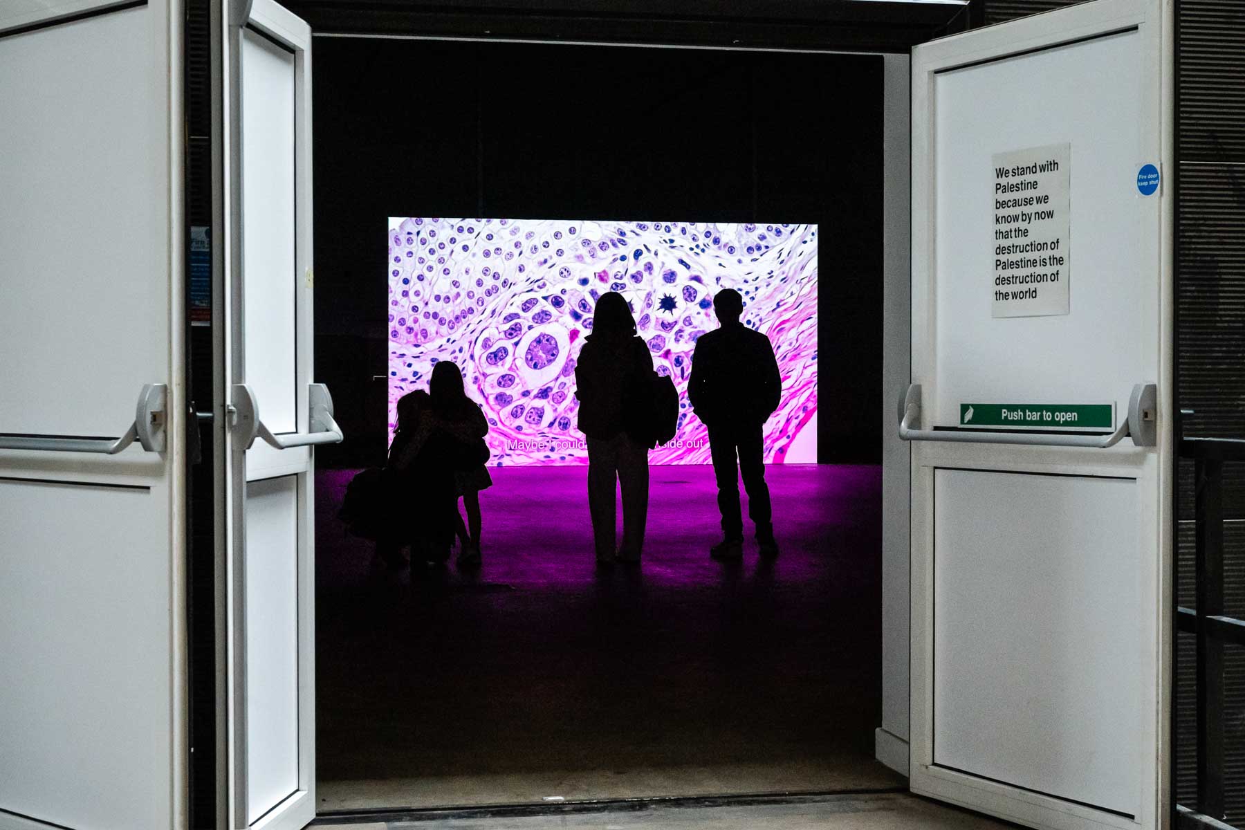 Doorway view into a gallery showing visitors silhouetted against a large screen with a magnified cellular image in pink and purple tones and subtitled text, with a printed sign on the open door reading "We stand with Palestine because we know by now that the destruction of Palestine is the destruction of the world."
