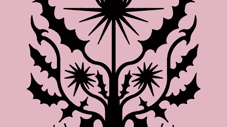 A pink background with a black graphic on it, which is an abstract tree-like image. Beneath in black font reads 'TENEU'