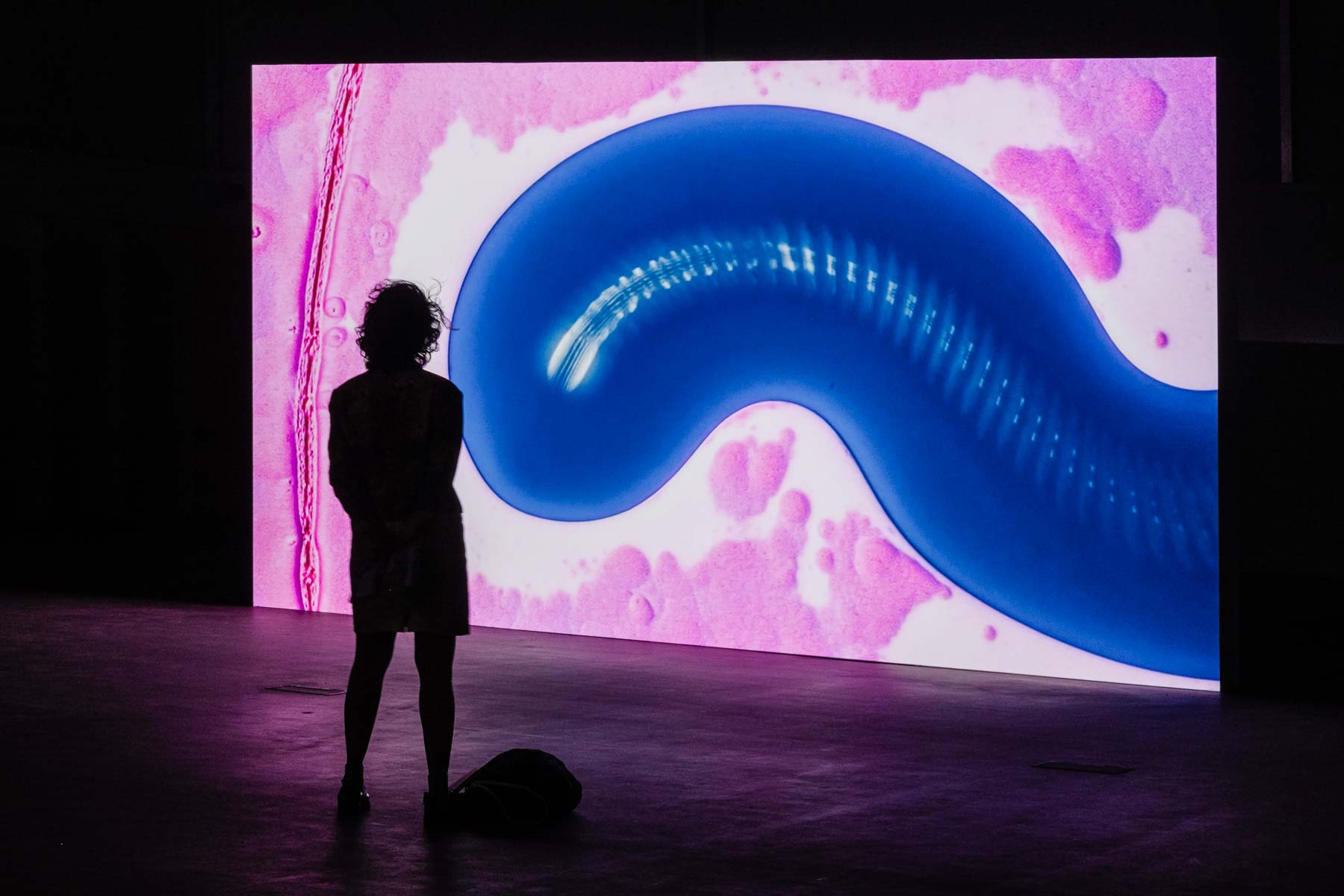 Installation view of a large video screen showing an abstract blue, curved organic form against a pink and white background, with a person silhouetted in front of the projection.