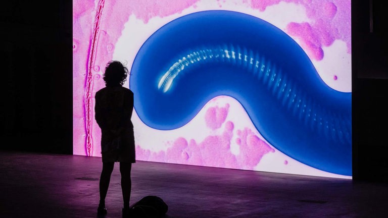 Installation view of a large video screen showing an abstract blue, curved organic form against a pink and white background, with a person silhouetted in front of the projection.