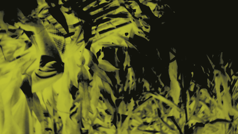 An abstracted photograph of different green and black colours. 