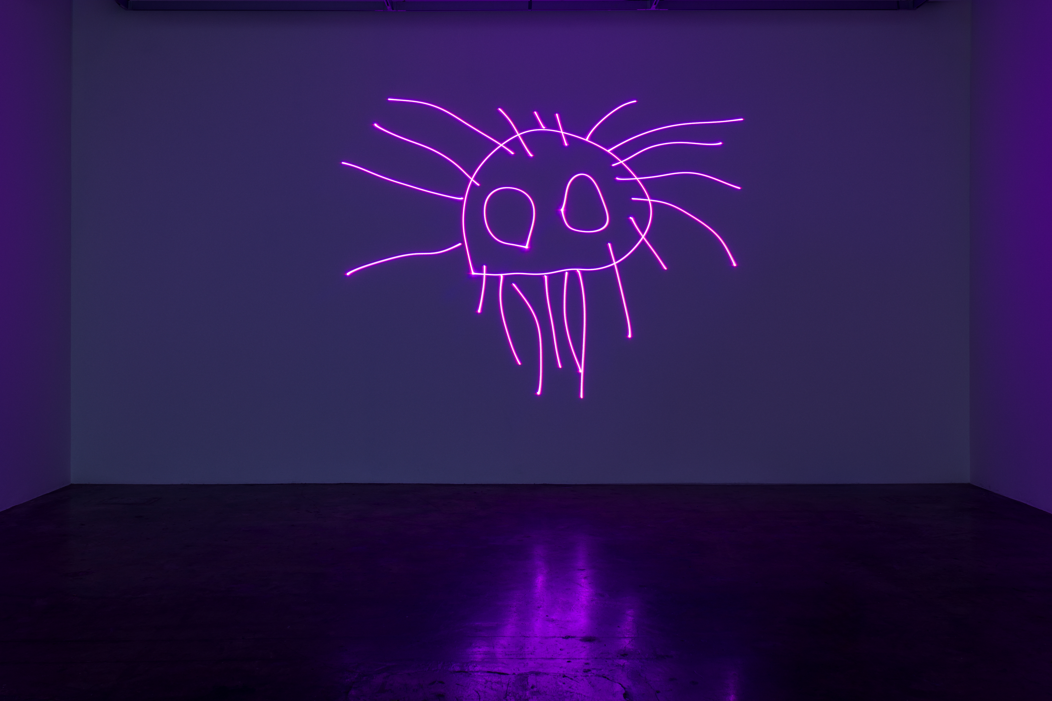 K Cooper PAC 300DPI 13 HR