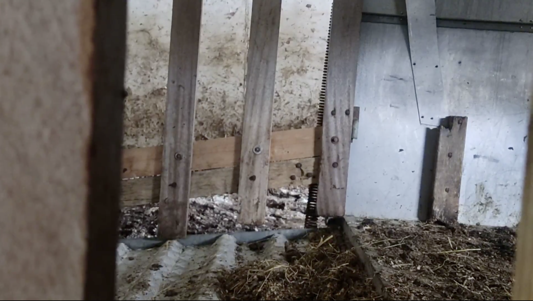  Interior of a construction site showing walls with mould and exposed wooden framing. Dirt and debris cover the ground.