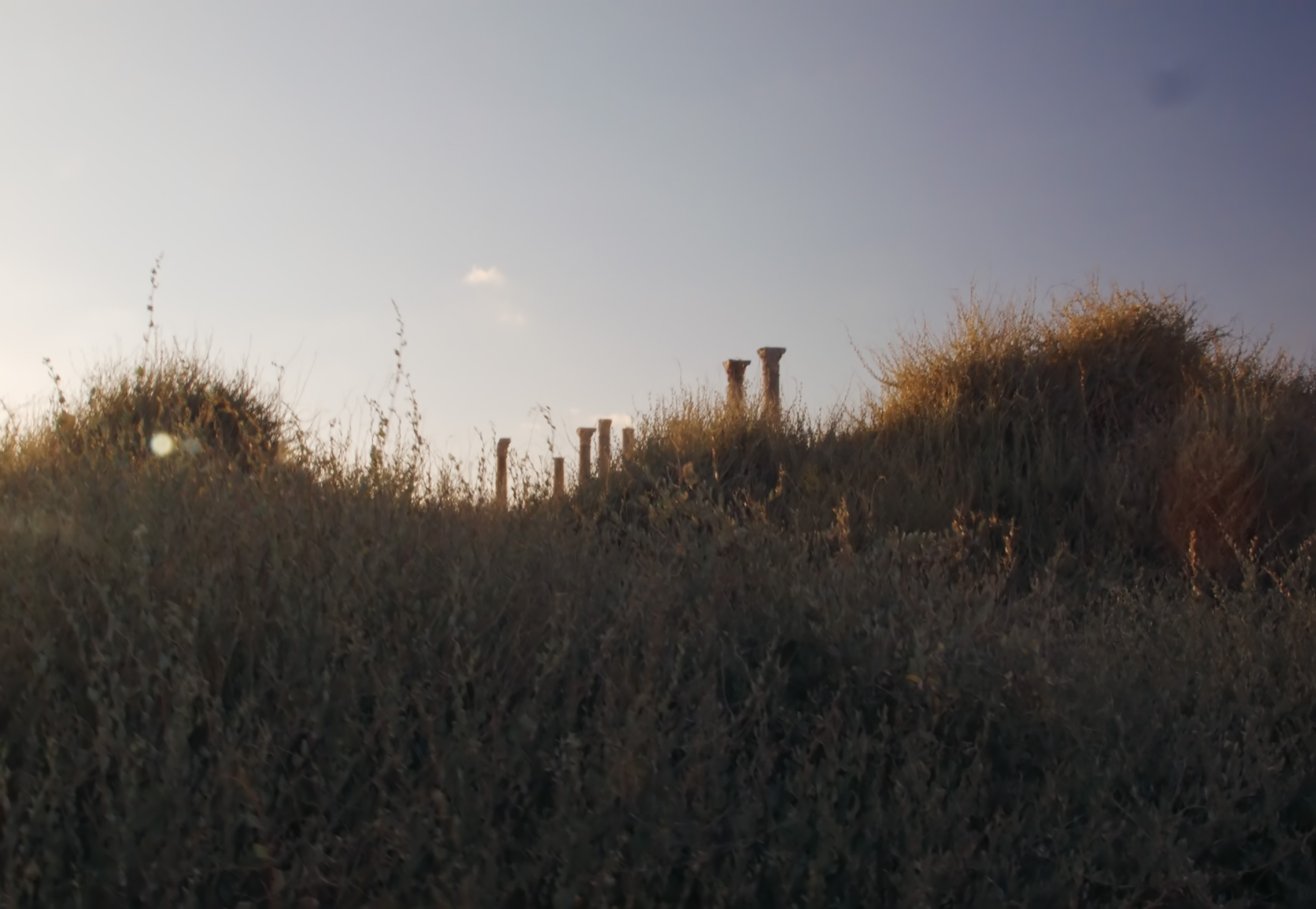 A landscape image, Still from Even the oracle cannot avert fate, Mira Adoumier, 2026.jpg