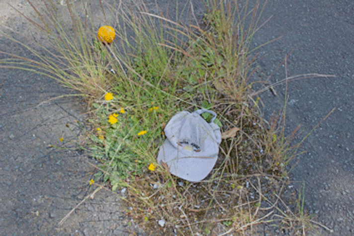 in a patch of plant growth through concrete there is an orange and a dirty white cap with embroidery that reads 'Petra, Jordan'