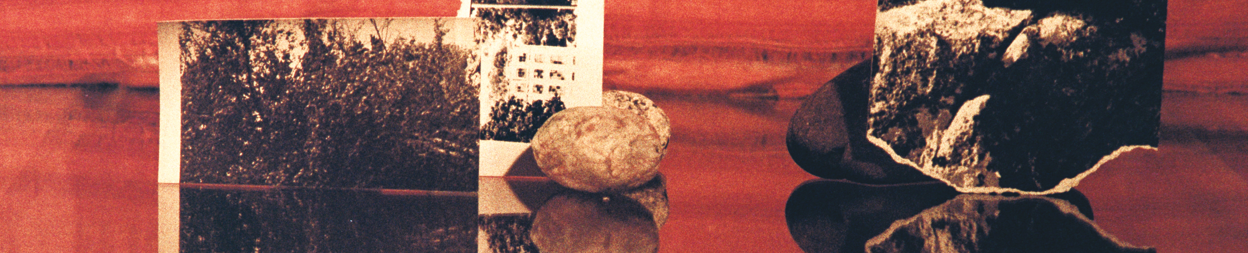 GI Website Banner 2026