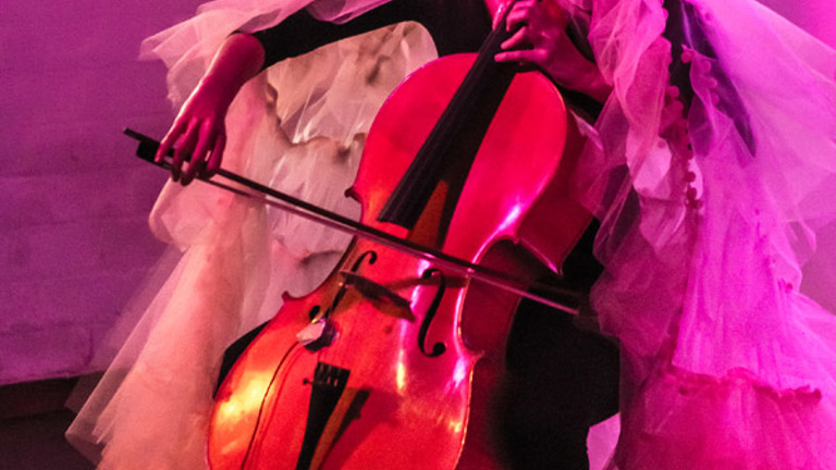 A person plays a cello wearing a large net costume. The light around the person is pink