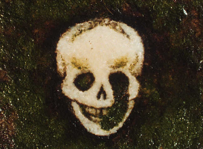 A drawing of a skull with a green substance below it. The green substance partially covers the skull. 