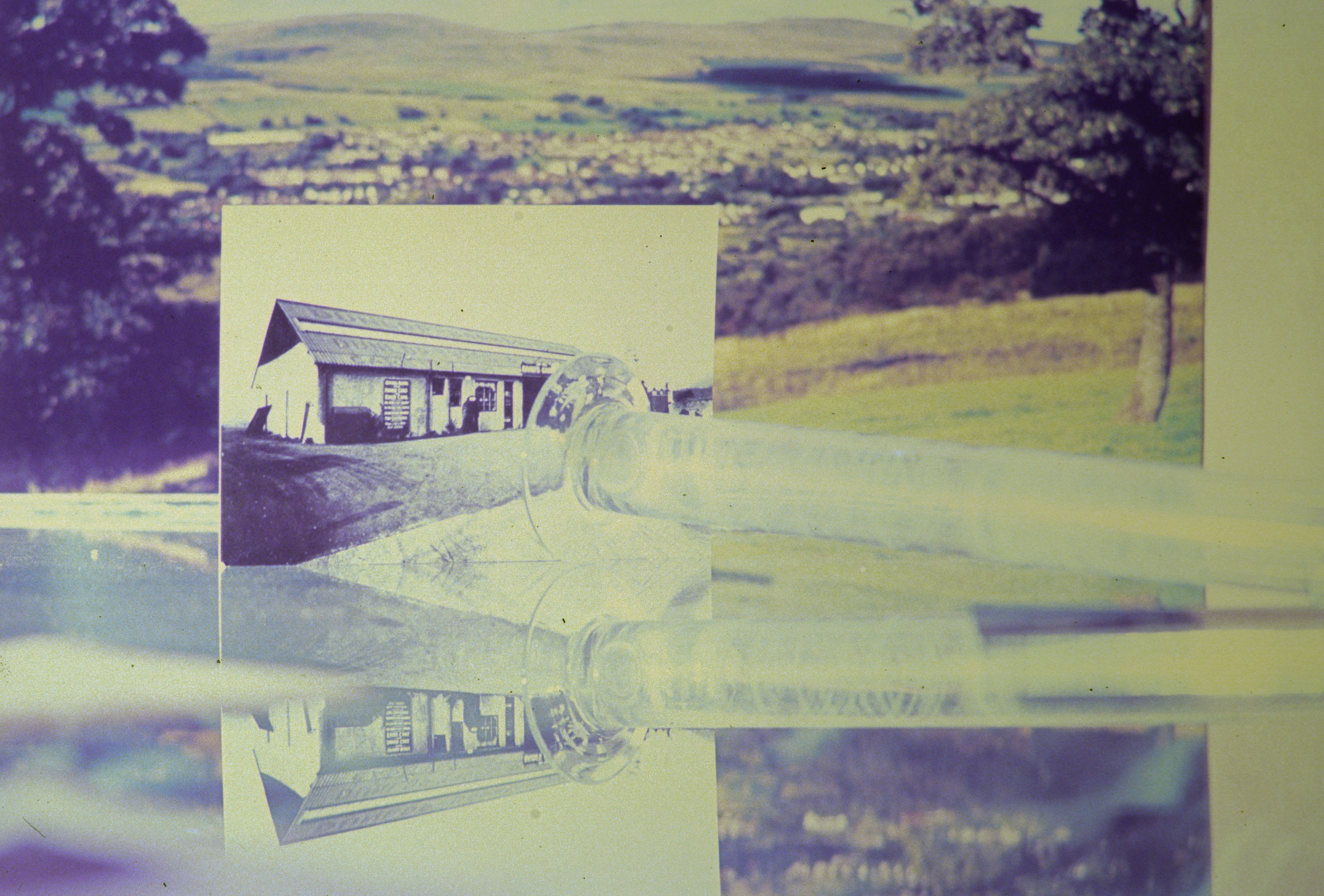 GI Image For Website